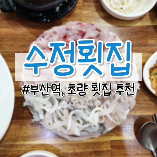  [부산역 횟집] 맛, 양, 가격까지! 현지인 찐 맛집 <수정횟집> (초량 육거리 모듬회, 도다리, 우럭, 밀치, 아나고)