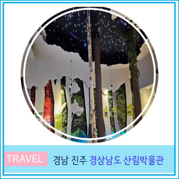  부산 울산 근교 아이와 가볼만한 곳 진주 경상남도 산림박물관