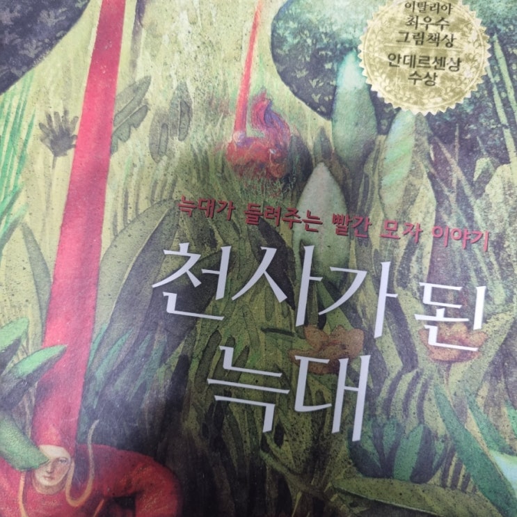  빨간 모자로 색다른 독후감 쓰기 좋은 그림책 추천