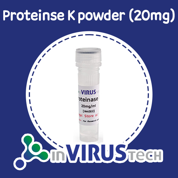 [제품] Proteinase K (20mg/vial, 30U/mg)
