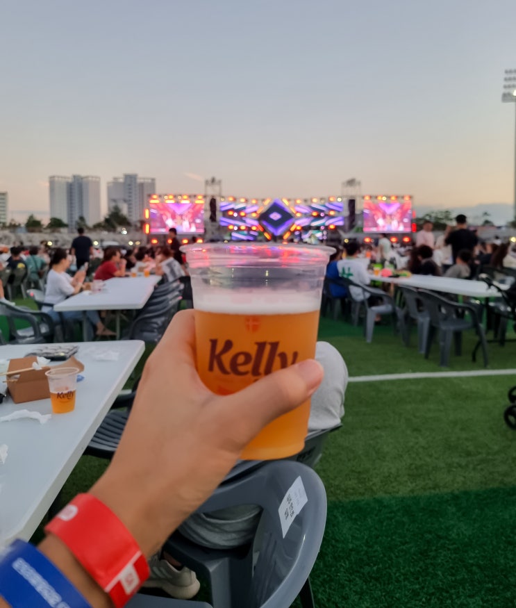  [제1회 강진 하맥축제] 행사일정 셔틀버스 연예인 맥주무제한 : 총정리편<전남강진가볼만한곳>