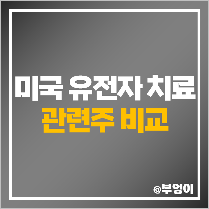 유전자 가위 관련주 DNA 치료 분석 미국 주식 VRTX 주가 유전자 가위 관련주 DNA 치료 분석 미국 주식 VRTX 주가