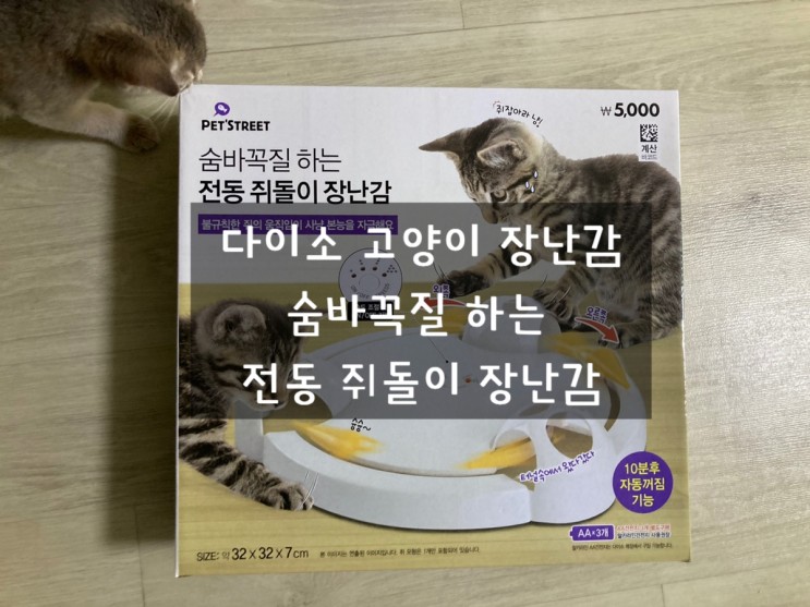 다이소 홈플러스 청라점에서 구매한 고양이 장난감 추천 :: 전동 쥐돌이 장난감!