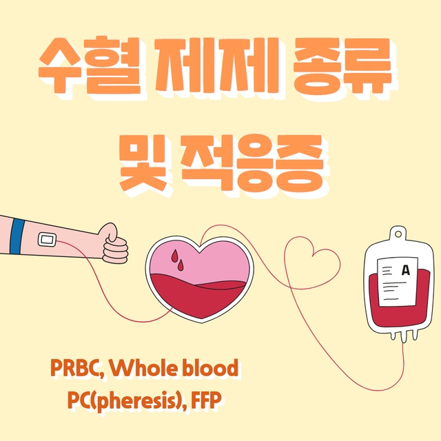 [수혈 간호] 다양한 수혈 혈액 제제의 종류, 어떤 환자한테 얼마 동안 드려야 하죠? (적혈구, 혈소판, 혈장)