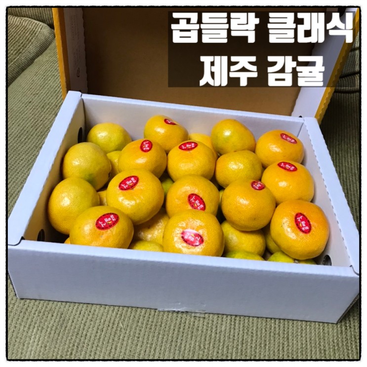 제주감귤 곱들락클래식 제주남원농협 감귤 3kg 한민시장 구입 맛 후기