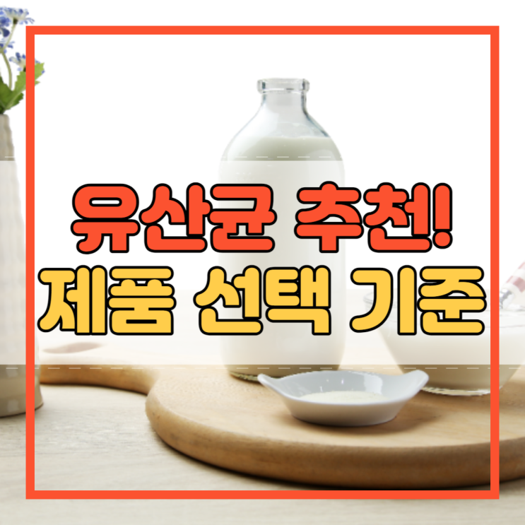  유산균 추천 및 제품 선택 기준!
