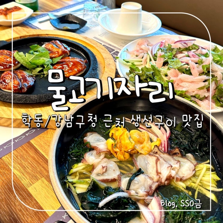  [학동/강남구청] 물고기자리 강남점 : 단체 회식하러 다녀온 정갈한 생선구이 맛집 (프라이빗 룸/주차)