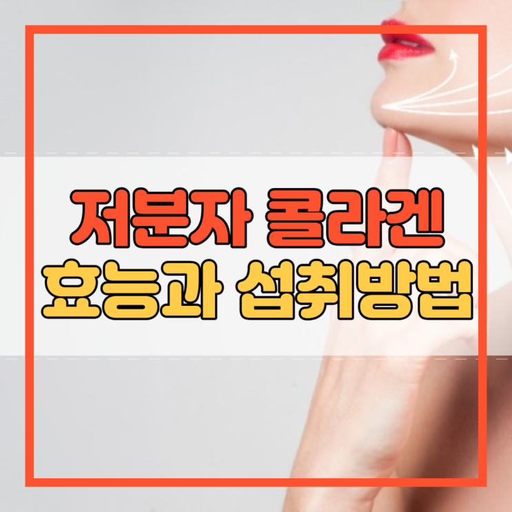  저분자 콜라겐 효능 섭취방법 음식 비타민C 함께 섭취!