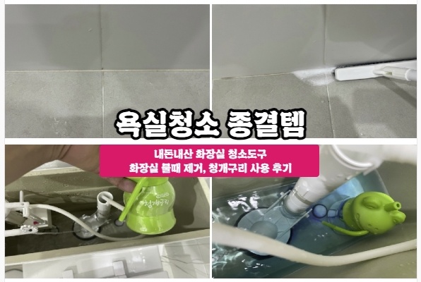  화장실청소 어떤 제품 쓰시나요? 우리집엔 청개구리가 살아요~