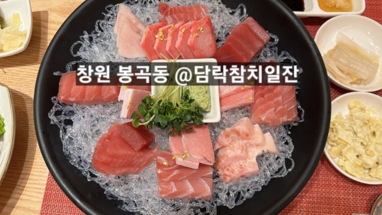  창원 봉곡동 참치맛집 담락참치일잔 !