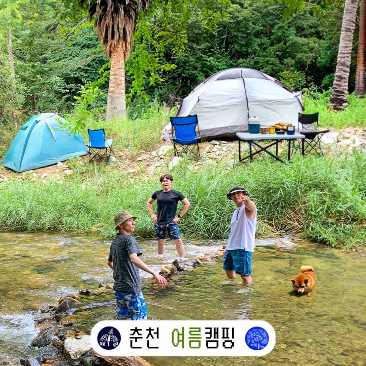  드디어 추위에 떨지 않는 춘천 여름 캠핑