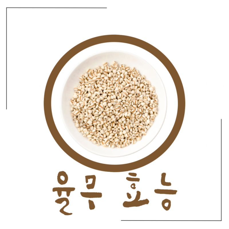율무 효능 율무가루 율무차 칼로리 : 네이버 블로그