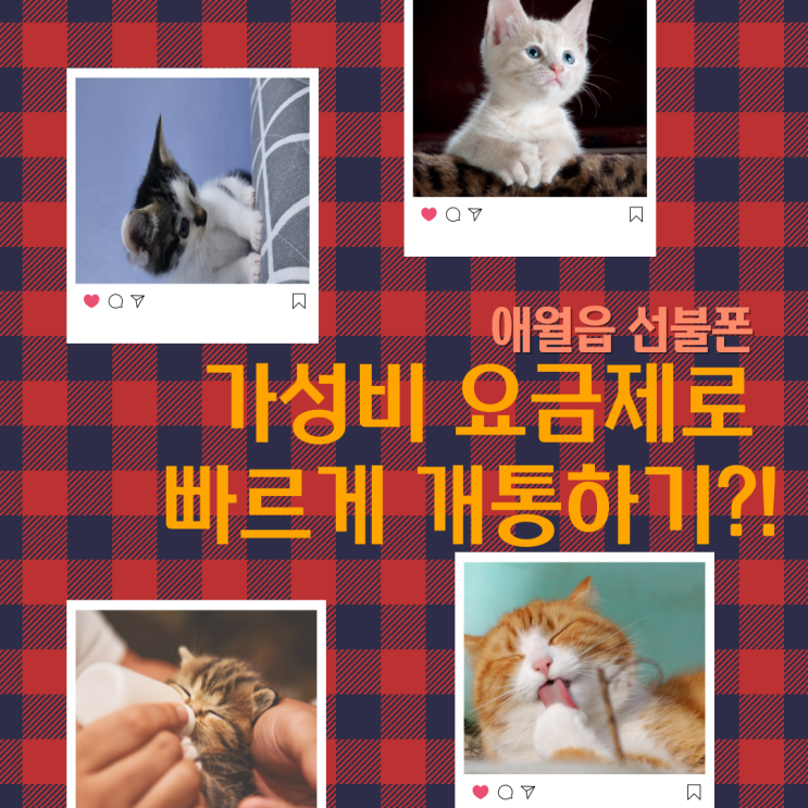  애월읍선불폰 가성비 요금제로 빠르게 개통하기