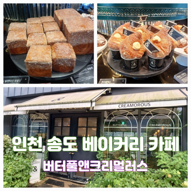 송도 베이커리 카페 버터풀앤크리멀러스 송도점 인천 연수구 빵맛집 재방문 내돈내산 송도 베이커리 카페 버터풀앤크리멀러스 송도점 인천 연수구 빵맛집 재방문 내돈내산