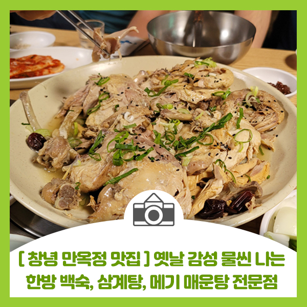  [창녕 만옥정] 옛날 감성 물씬 나는 한방 백숙, 삼계탕, 메기 매운탕 맛집 전문점
