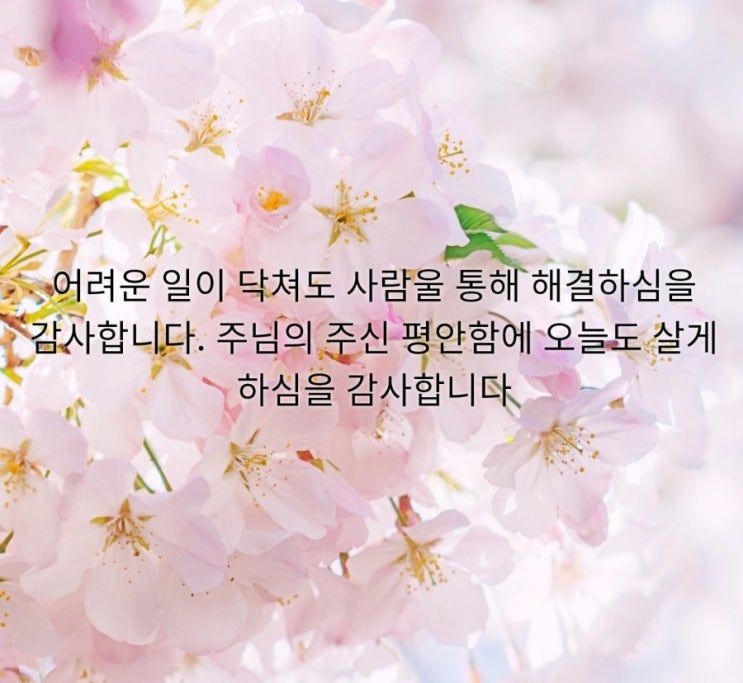 맥스마케터의 누군가의기도 어려운 일이 닥쳐도 사람을 통해 채우고 해결하심을.. 맥스마케터의 누군가의기도 어려운 일이 닥쳐도 사람을 통해 채우고 해결하심을..