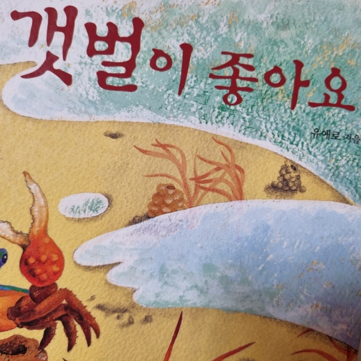  갯벌 체험 독후감