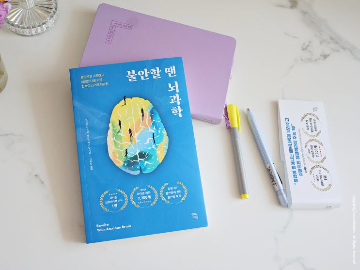 불안할 땐 뇌과학 불안하고 걱정하고 예민한 나를 위한 뇌과학 처방전 도서