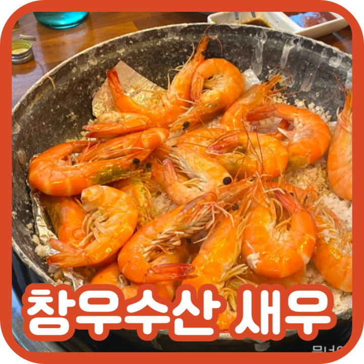  강남구청역 술집 추천! 365 창우수산 활새우 직판장 후기 (가격정보, 주차)