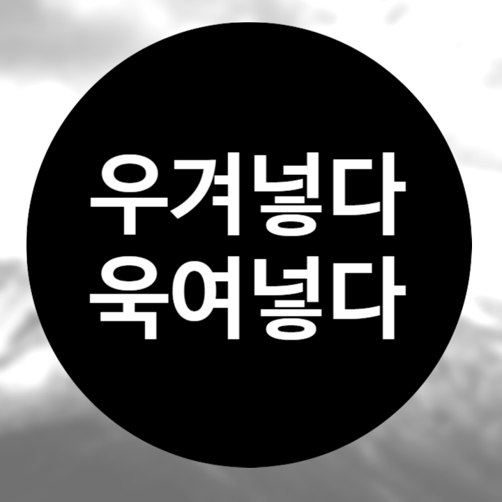  우겨넣다 욱여넣다 올바른 맞춤법은?