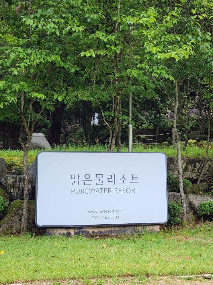  애견동반펜션, 맑은 물 리조트
