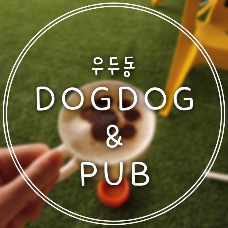  [춘천/우두택지] 우두동 도심 속 루프탑 애견카페&펍, 도그도그(DOGDOG)