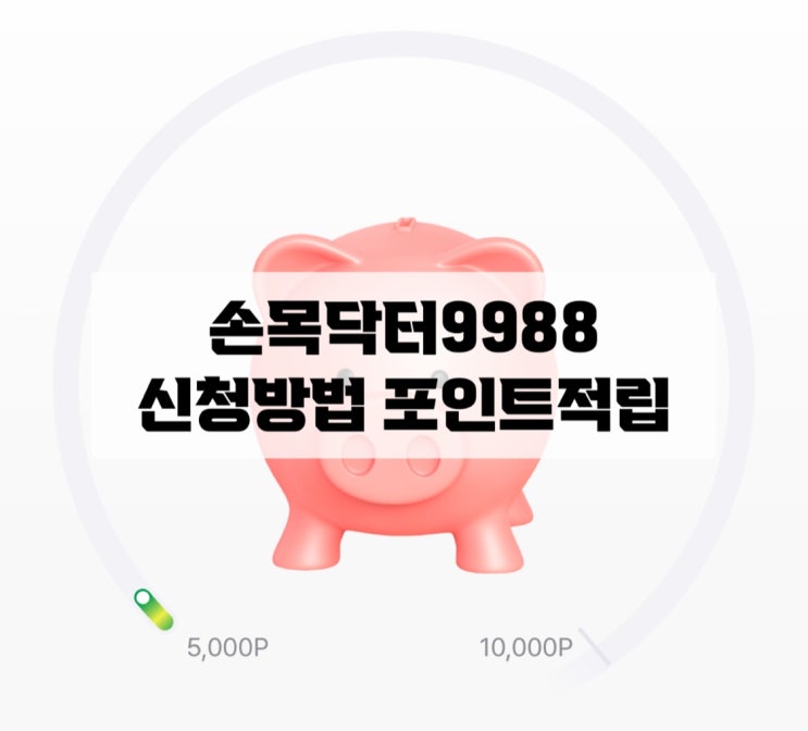 손목닥터9988 3차 신청 및 5천 포인트 받기 서울페이머니 전환 방법