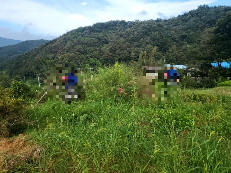  2023년 김천 어모면 산소벌초와 잔디조성 산소주변 수로공사및 펜스 설치공사 고인돌장묘개발장의사