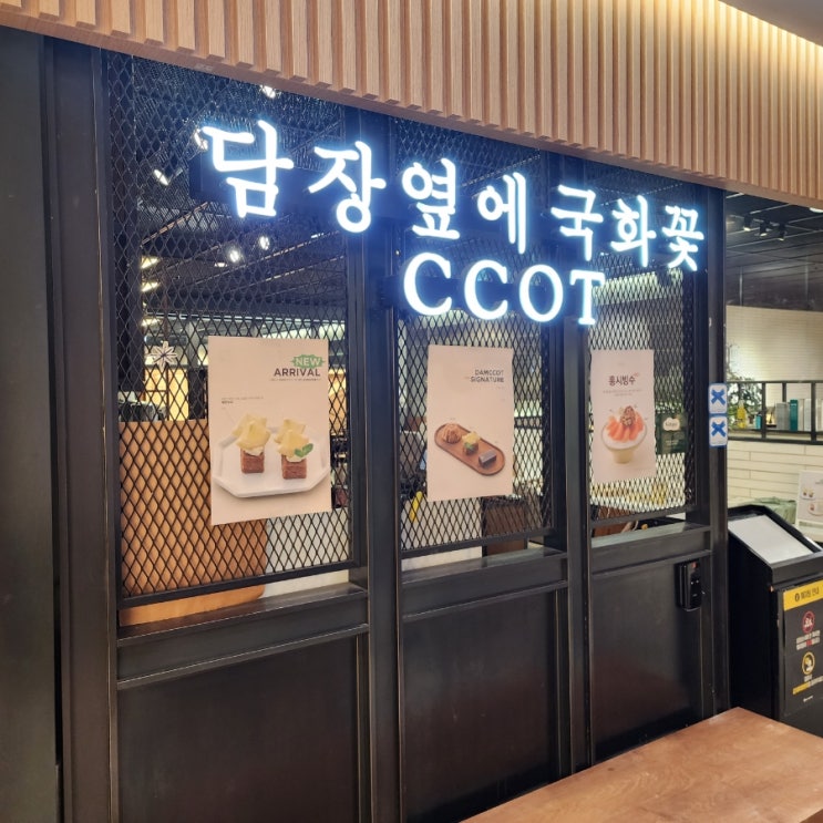  담장옆에 국화꽃 강남반포 팥빙수맛집(서초파미에파크카페)