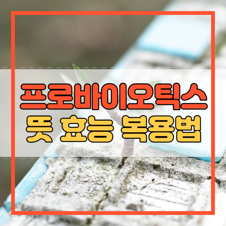  프로바이오틱스 뜻 효능 효과 복용법!