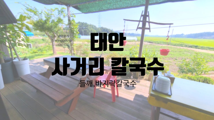  태안 맛집 사거리 칼국수 가성비 바지락칼국수, 들깨칼국수