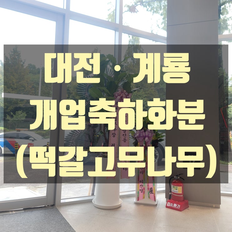  대전ㆍ계룡 개업화분 배달했습니다.(기아 대룡대리점_축하화분, 개업축하화분)