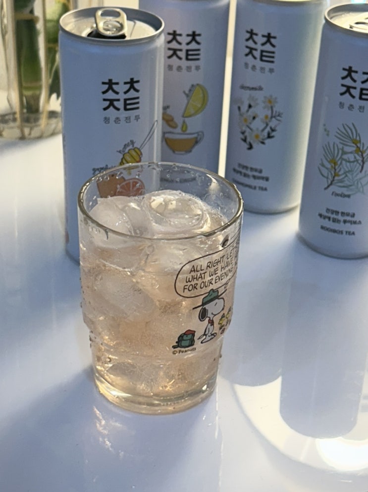  [review] 저칼로리 탄산음료 추천, 청춘전투 ( 자몽 루이보스 캐모마일 진저레몬맛 후기)