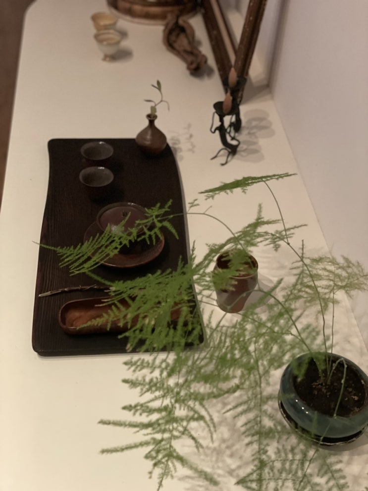 티타임 사진털기 멋진 다기와 식물이 있는 다실 풍경 티타임 사진털기 멋진 다기와 식물이 있는 다실 풍경