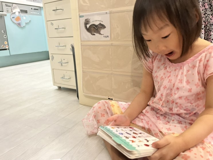 책육아 책노출하는데 최고의 방법! 마이포켓 벽걸이 투명차트