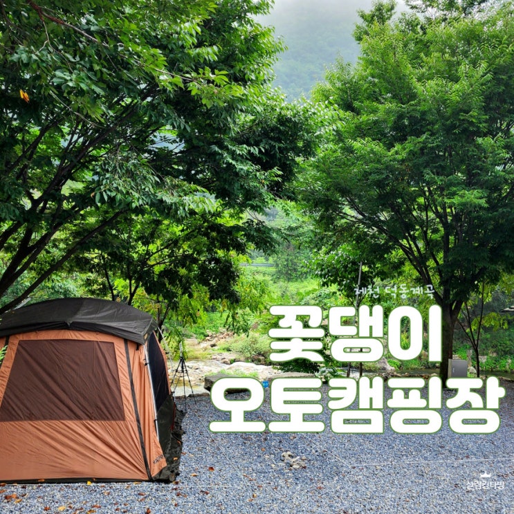 덕동계곡 제천 캠핑장 꽃댕이오토캠핑장, 계곡뷰 B2사이트 리뷰
