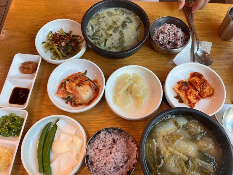  시지 추어탕 고디탕맛집 청도추어탕 내돈내산 시지맛집