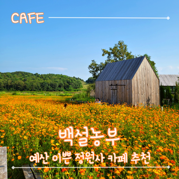  홍성 예산 카페 추천 키즈존 반려견 동반 이쁘고 아담한 오두막 카페 - "백설농부"