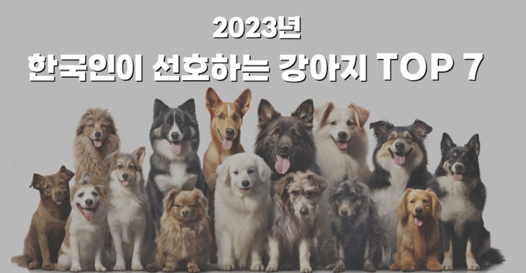 2023년 한국인이 선호하는 강아지 순위 TOP 7 (Part.1)