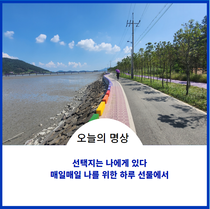  오늘의 명상;)모든 선택권은 나에게 있다