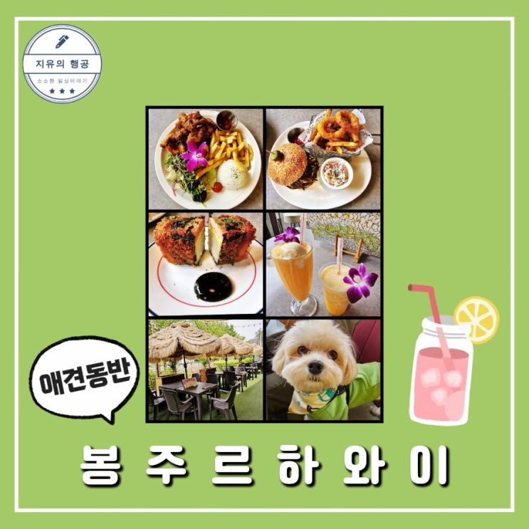 봉주르하와이 앨리웨이 광교점ㅣ애견동반 맛집 내돈내산