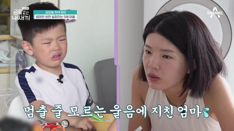 하루종일 오열하는 5세 금쪽이 우울증 유전 요즘육아 금쪽같은 내새끼 하루종일 오열하는 5세 금쪽이 우울증 유전 요즘육아 금쪽같은 내새끼