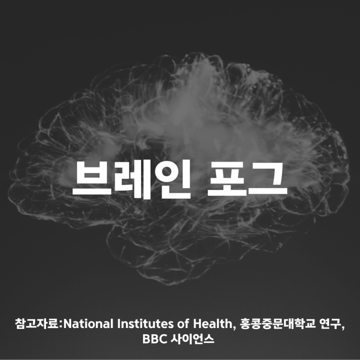  뇌에 안개가 낀다고? '브레인 포그'
