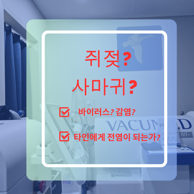  레이저치료이용 사마귀 없애기! 더웰피부과유성점