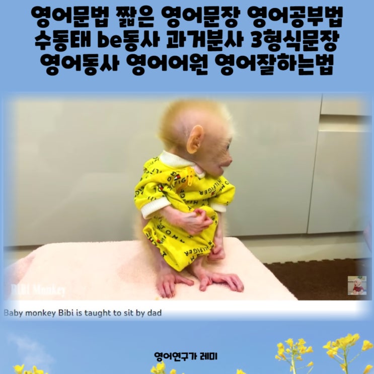 영어문법 짧은 영어문장 영어공부법 수동태 be동사 과거분사 3형식문장 동사 어원 영어잘하는법 영어문법 짧은 영어문장 영어공부법 수동태 be동사 과거분사 3형식문장 동사 어원 영어잘하는법