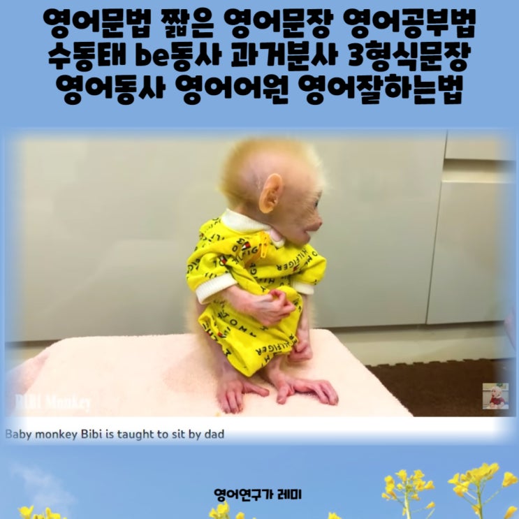 영어문법 짧은 영어문장 영어공부법 수동태 be동사 과거분사 3형식문장 동사 어원 영어잘하는법