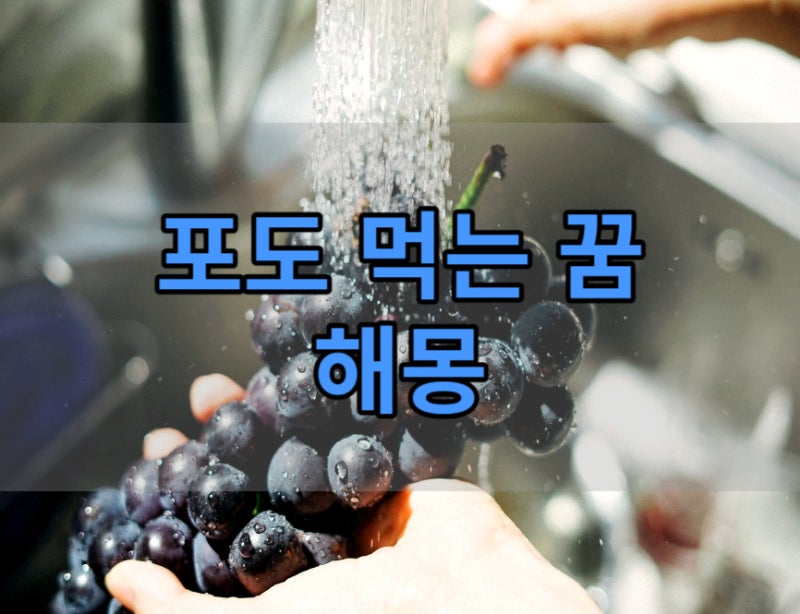 포도꿈 포도 먹는, 받는, 따는 꿈 해몽