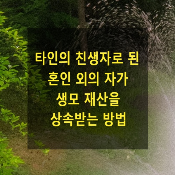  타인의 친생자로 된 혼인 외의 자가 생모 재산을 상속받는 방법