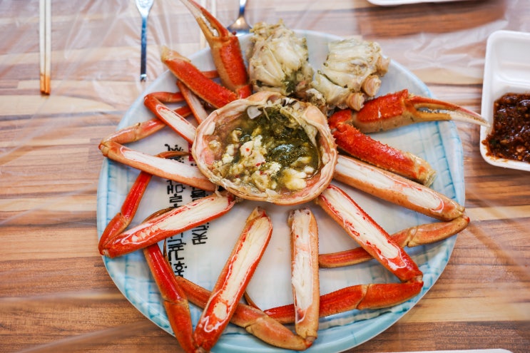  속초 대포항 애견동반 가능한 속초 대게 맛집 현희네활어횟집