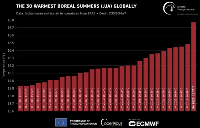 올 여름 역사상 가장 더웠다…"파괴적 기후붕괴"